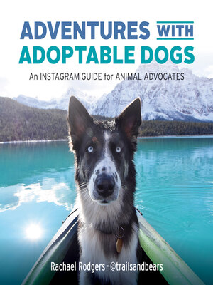 cover image of Adventures with Adoptable Dogs